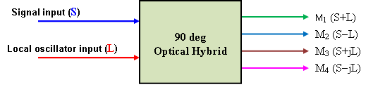 6597c2d3cc644.png