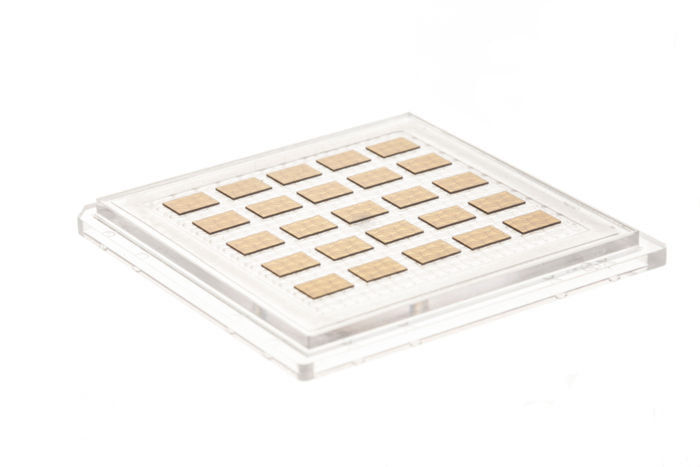 6487e1bd6f279.png