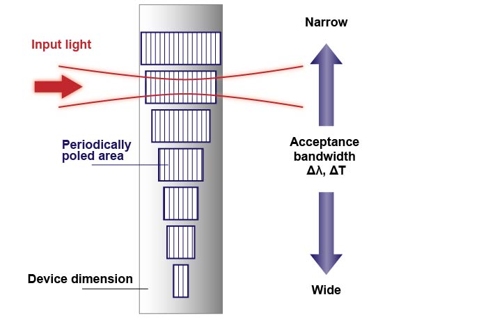 6465e79011685.jpg