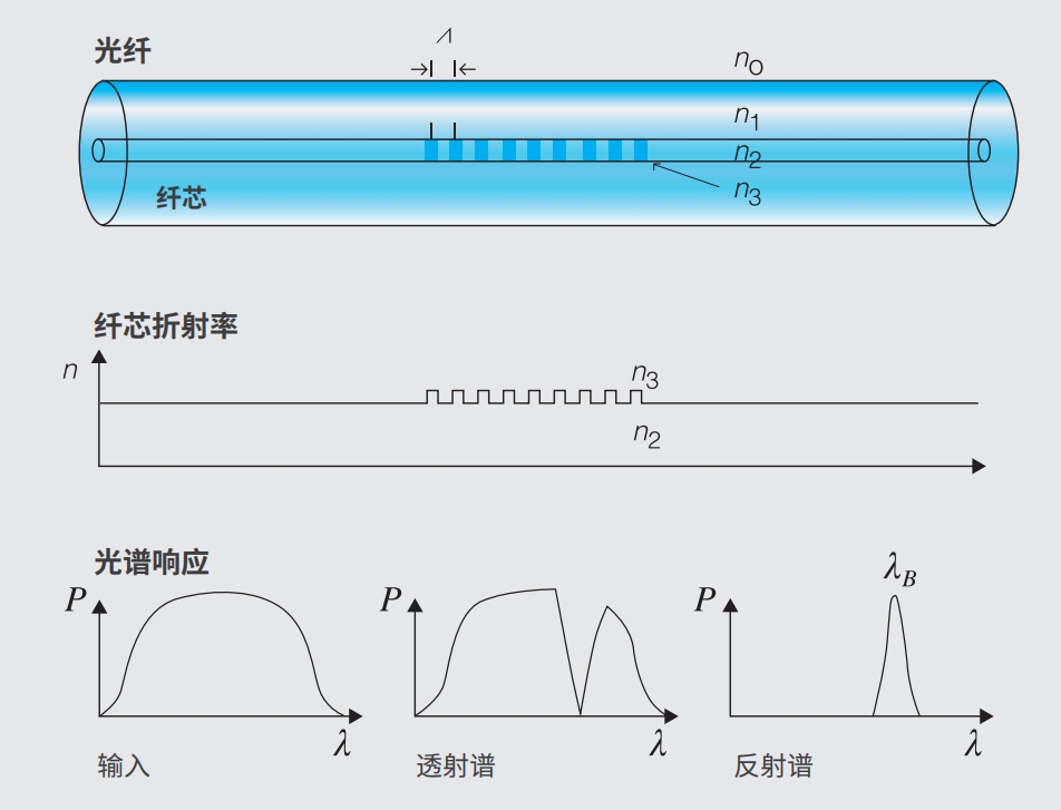 64f19c58de95d.jpg