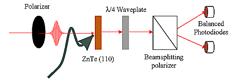 5ecf6b569ca1e.jpg